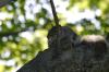 <img100*0:stuff/z/169023/Squirrel.4/i1277162365_26.jpg>