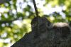 <img100*0:stuff/z/169023/Squirrel.4/i1277162366_32.jpg>