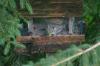 <img100*0:stuff/z/169023/Squirrel.6/i1277239210_7.jpg>