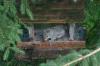 <img100*0:stuff/z/169023/Squirrel.6/i1277239211_13.jpg>