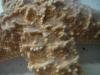 <img100*0:stuff/z/169023/Starfish/i1263430460_4.jpg>