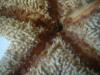 <img100*0:stuff/z/169023/Starfish/i1263430461_12.jpg>