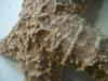 <img100*0:stuff/z/169023/Starfish/i1263430462_27.jpg>
