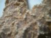 <img100*0:stuff/z/169023/Starfish/i1263430462_39.jpg>