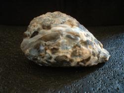 <img250*0:stuff/z/169023/Stones/i1255996078_21.jpg>