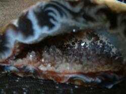 <img250*0:stuff/z/169023/Stones/i1255996078_25.jpg>