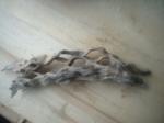 <img150*0:stuff/z/169023/Sun-bleached%2520Deadwood/i1258924164_1.jpg>