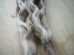 <img150*0:stuff/z/169023/Sun-bleached%2520Deadwood/i1258924164_5.jpg>