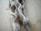 sun-bleached deadwood