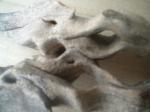 <img150*0:stuff/z/169023/Sun-bleached%2520Deadwood/i1258924164_7.jpg>