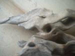 <img150*0:stuff/z/169023/Sun-bleached%2520Deadwood/i1258924165_13.jpg>