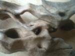 <img150*0:stuff/z/169023/Sun-bleached%2520Deadwood/i1258924165_20.jpg>