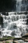 <img100*0:stuff/z/169023/Tall%2520Falls2/i1279820960_27.jpg>