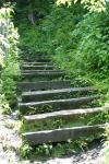 <img100*0:stuff/z/169023/Tall%2520Stairs2/i1280422706_2.jpg>
