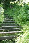 <img100*0:stuff/z/169023/Tall%2520Stairs2/i1280422707_11.jpg>