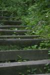 <img100*0:stuff/z/169023/Tall%2520Stairs2/i1280422707_13.jpg>