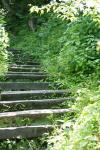 <img100*0:stuff/z/169023/Tall%2520Stairs2/i1280422707_15.jpg>
