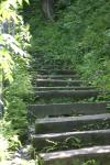 <img100*0:stuff/z/169023/Tall%2520Stairs2/i1280422707_5.jpg>