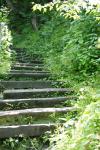 <img100*0:stuff/z/169023/Tall%2520Stairs2/i1280422707_7.jpg>