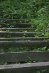 <img100*0:stuff/z/169023/Tall%2520Stairs2/i1280422707_9.jpg>