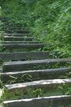 <img100*0:stuff/z/169023/Tall%2520Stairs2/i1280422708_16.jpg>