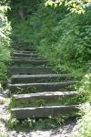 <img100*0:stuff/z/169023/Tall%2520Stairs2/i1280422708_17.jpg>