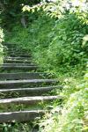 <img100*0:stuff/z/169023/Tall%2520Stairs2/i1280422708_19.jpg>