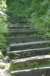 <img100*0:stuff/z/169023/Tall%2520Stairs2/i1280422708_20.jpg>