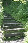 <img100*0:stuff/z/169023/Tall%2520Stairs2/i1280422708_21.jpg>