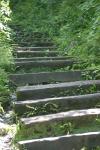 <img100*0:stuff/z/169023/Tall%2520Stairs2/i1280422708_24.jpg>
