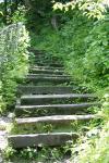 <img100*0:stuff/z/169023/Tall%2520Stairs2/i1280422708_26.jpg>