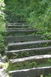 <img100*0:stuff/z/169023/Tall%2520Stairs2/i1280422709_28.jpg>