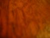 <img100*0:stuff/z/169023/Texture%252083/i1259884912_7.jpg>
