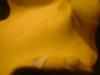 <img100*0:stuff/z/169023/Texture%252083/i1259884912_8.jpg>