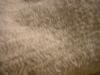 <img100*0:stuff/z/169023/Texture%252083/i1259884913_13.jpg>