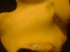 <img100*0:stuff/z/169023/Texture%252083/i1259884913_14.jpg>