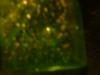<img100*0:stuff/z/169023/Texture%252083/i1259884913_15.jpg>