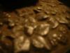 <img100*0:stuff/z/169023/Texture%252083/i1259884913_16.jpg>