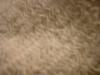 <img100*0:stuff/z/169023/Texture%252083/i1259884913_19.jpg>