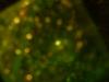 <img100*0:stuff/z/169023/Texture%252083/i1259884913_21.jpg>