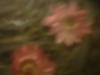 <img100*0:stuff/z/169023/Texture%252083/i1259884914_40.jpg>