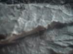 <img150*0:stuff/z/169023/Textures%252016/i1258918166_2.jpg>
