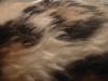 <img100*0:stuff/z/169023/Textures%252026/i1259627824_4.jpg>