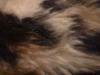 <img100*0:stuff/z/169023/Textures%252026/i1259627824_8.jpg>