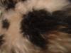 <img100*0:stuff/z/169023/Textures%252026/i1259627825_12.jpg>