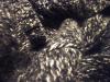 <img100*0:stuff/z/169023/Textures%252026/i1259627825_13.jpg>