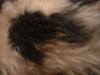 <img100*0:stuff/z/169023/Textures%252026/i1259627825_16.jpg>
