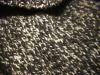 <img100*0:stuff/z/169023/Textures%252026/i1259627825_18.jpg>