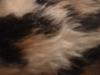 <img100*0:stuff/z/169023/Textures%252026/i1259627825_19.jpg>