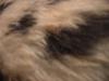 <img100*0:stuff/z/169023/Textures%252026/i1259627825_20.jpg>